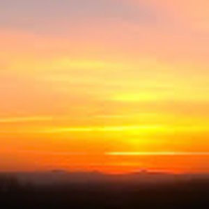 Meet your Posher, Lilly